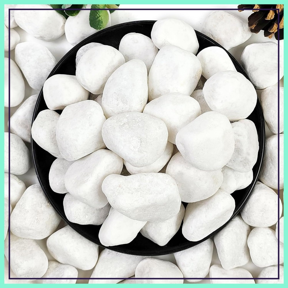 Aquarium Marine Plants - 1-2 Inch White Pebbles for Indoor