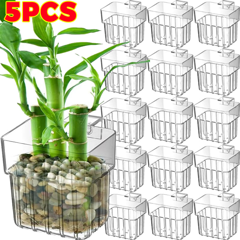 Aquarium Marine Plants - 1/5pcs Aquarium Decoration Plant Cup Transparent