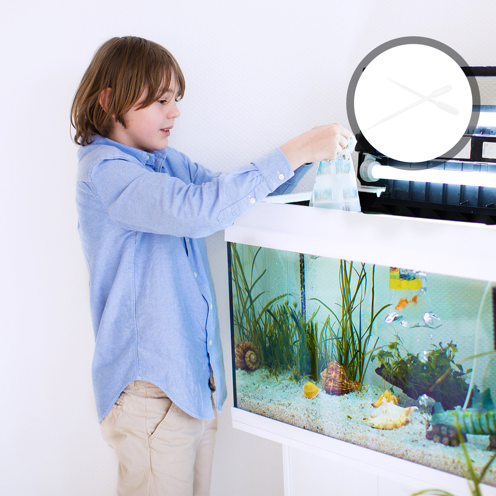 Marine Aquarium Youtube - 10Pcs Coral Feeders Plastic Tubes Marked
