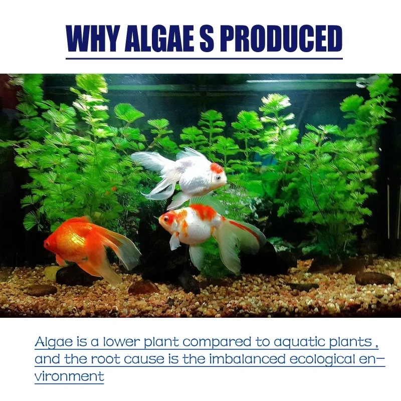 50g High Efficiency Algaecide  - Aquarium Marine Plants recensie en prijs