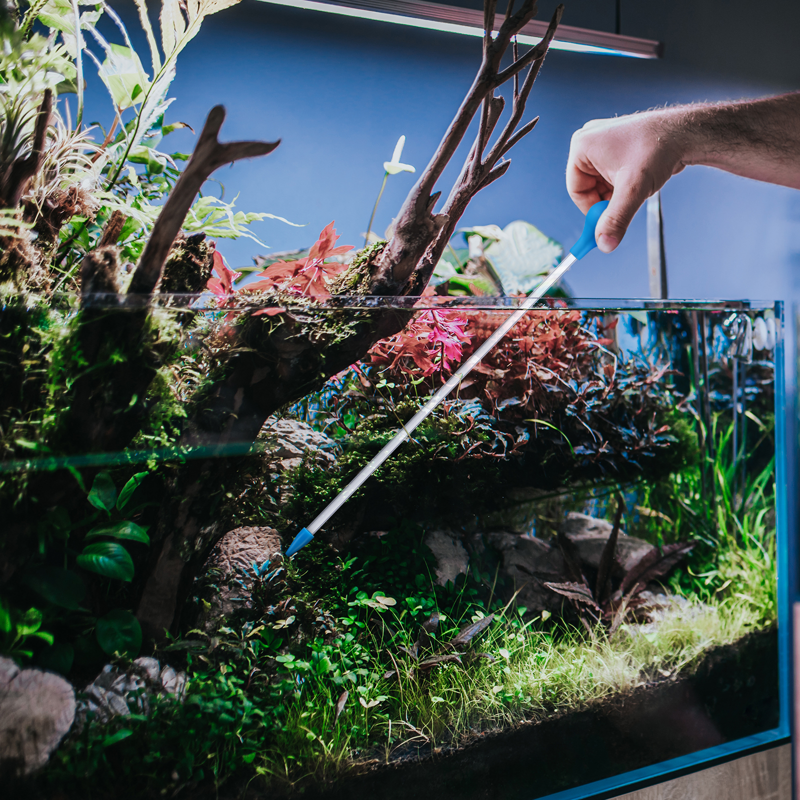 Coral Feeder 35Cm Acrylic Tube - Marine Aquarium Youtube recensie en prijs
