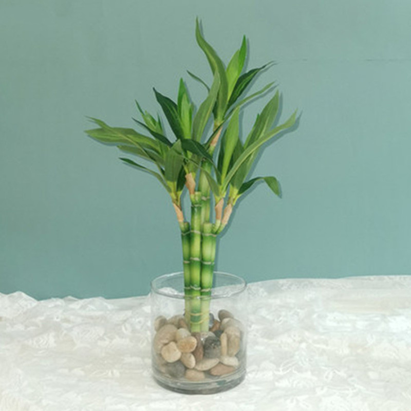 New 40cm rFtificial Lucky Bamb - Aquarium Marine Plants recensie en prijs
