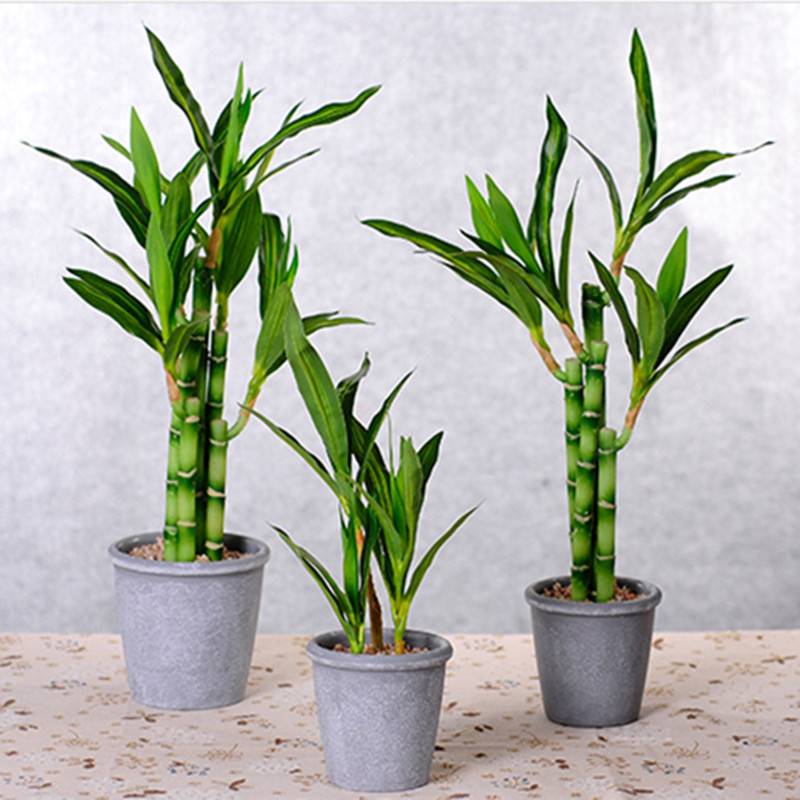 New 40cm rFtificial Lucky Bamb - Aquarium Marine Plants recensie en prijs