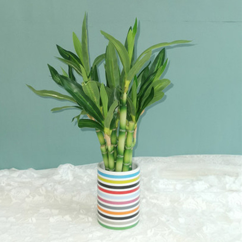 New 40cm rFtificial Lucky Bamb - Aquarium Marine Plants recensie en prijs