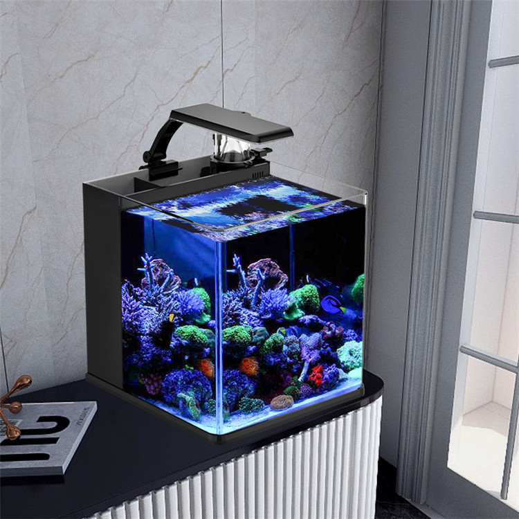Latest Model Clear Glass Mini  - Aquarium Marine Salt recensie en prijs