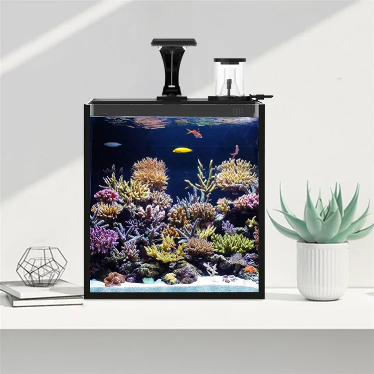 Latest Model Clear Glass Mini  - Aquarium Marine Salt recensie en prijs