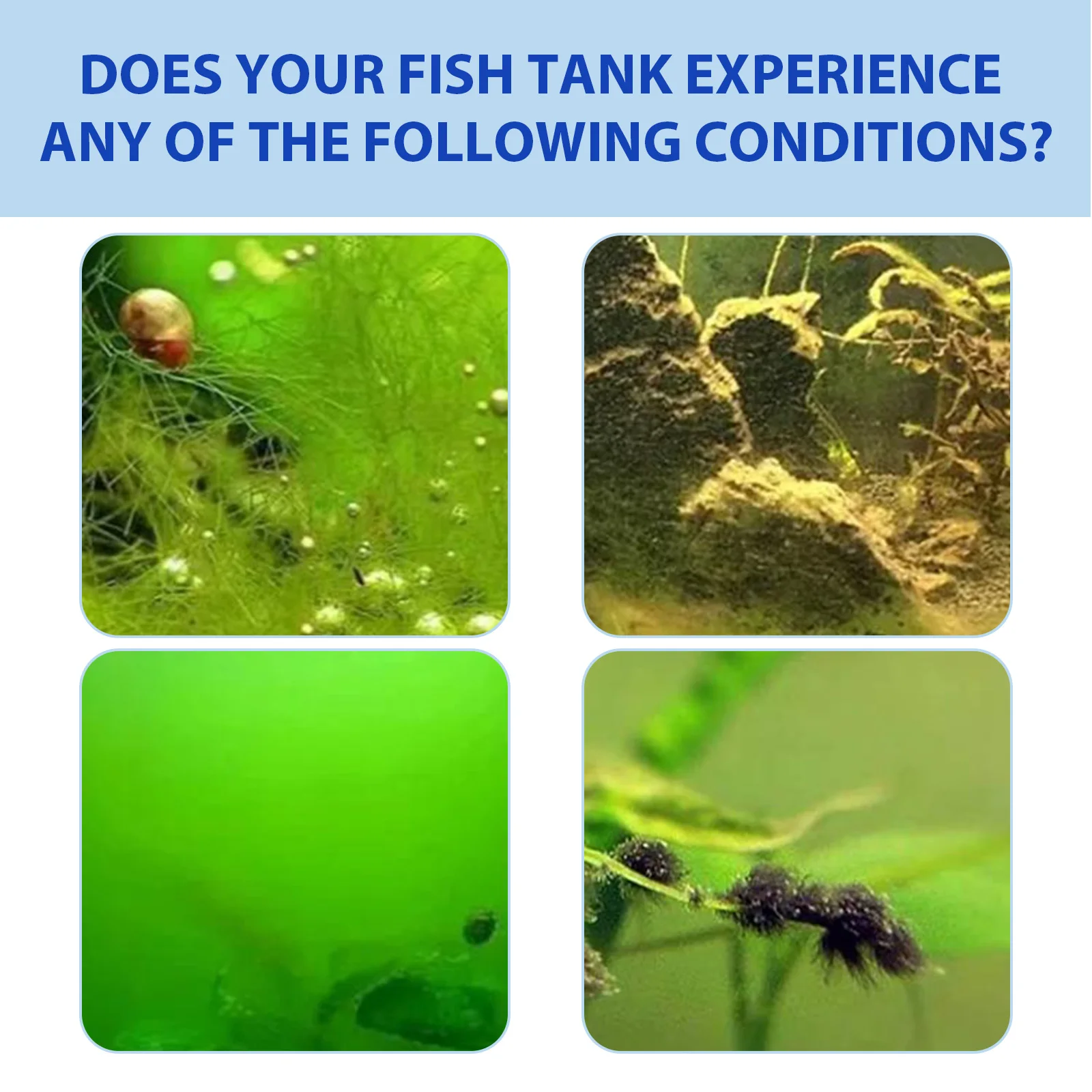 Yegbong Fish Tank Water Purifi - Aquarium Marine Plants recensie en prijs