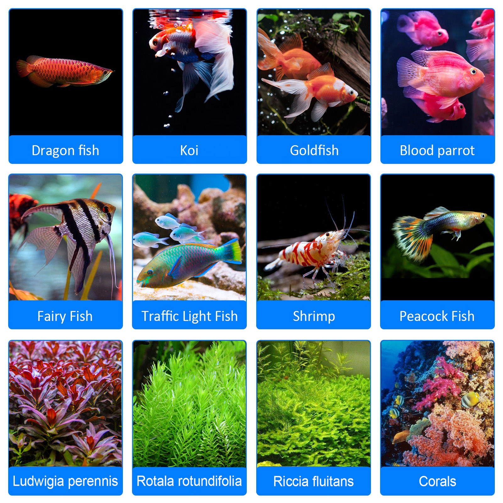 8H 10H 12H Timer Panel Reef Ma - Aquarium Marine Salt recensie en prijs