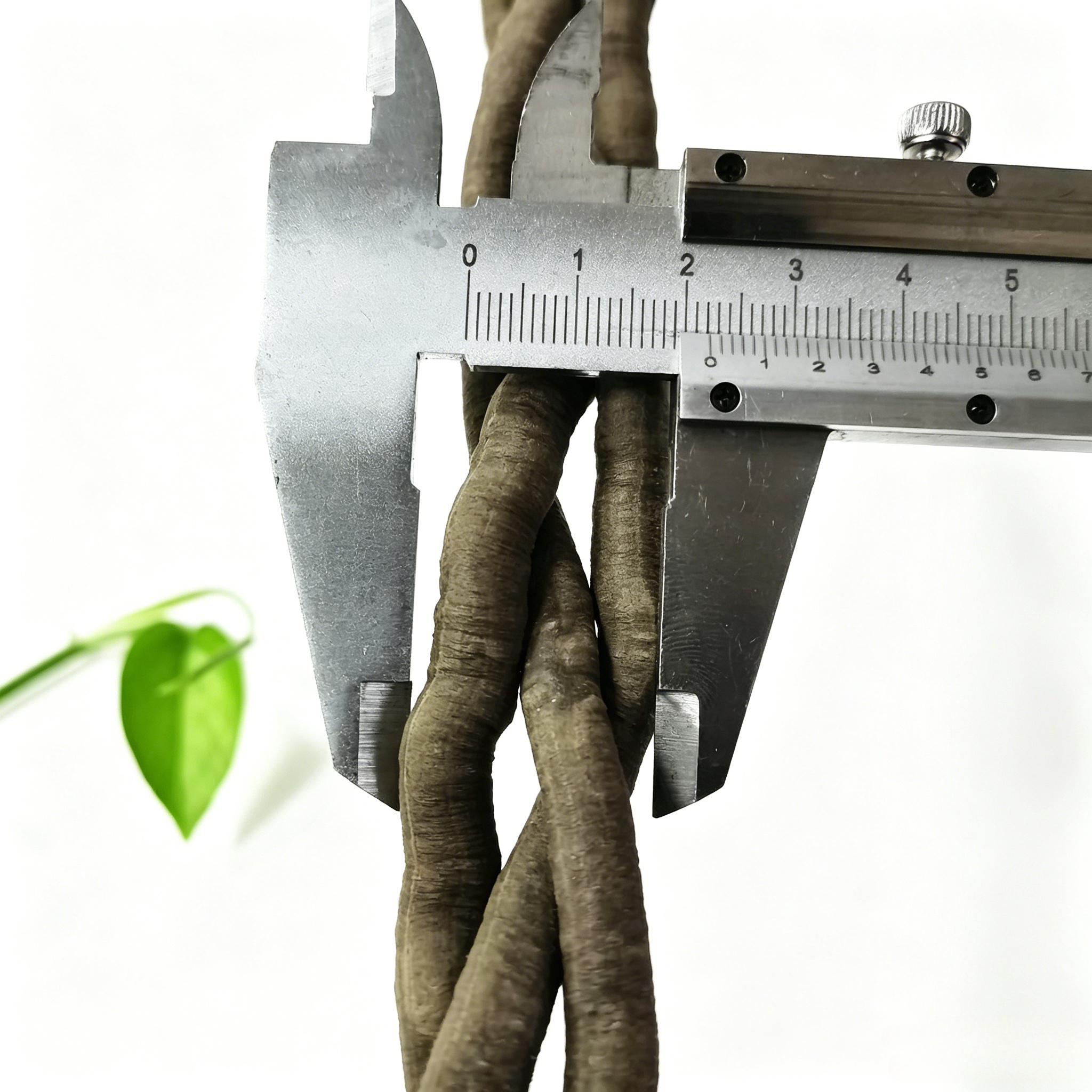 100cm Artificial Vine Fake Pla - Aquarium Marine Plants recensie en prijs