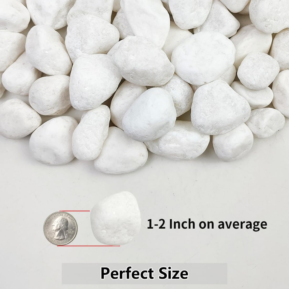 1-2 Inch White Pebbles for Ind - Aquarium Marine Plants recensie en prijs