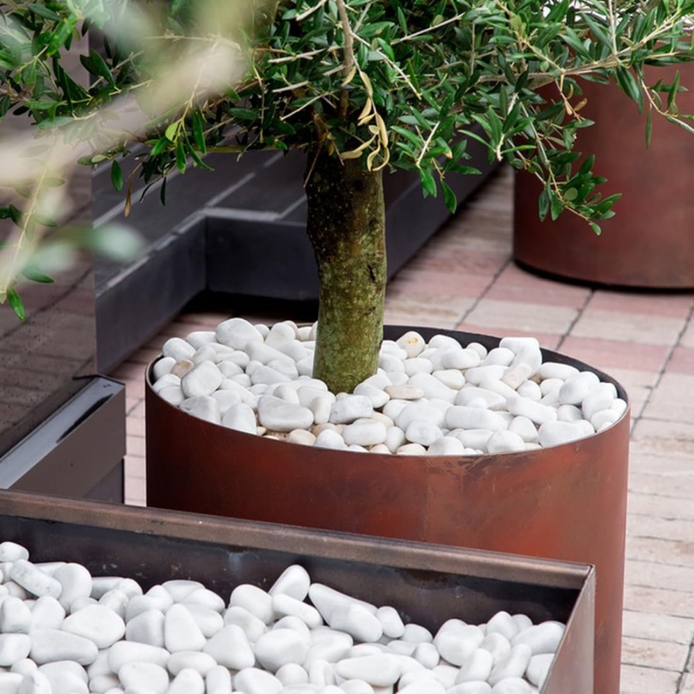 1-2 Inch White Pebbles for Ind - Aquarium Marine Plants recensie en prijs
