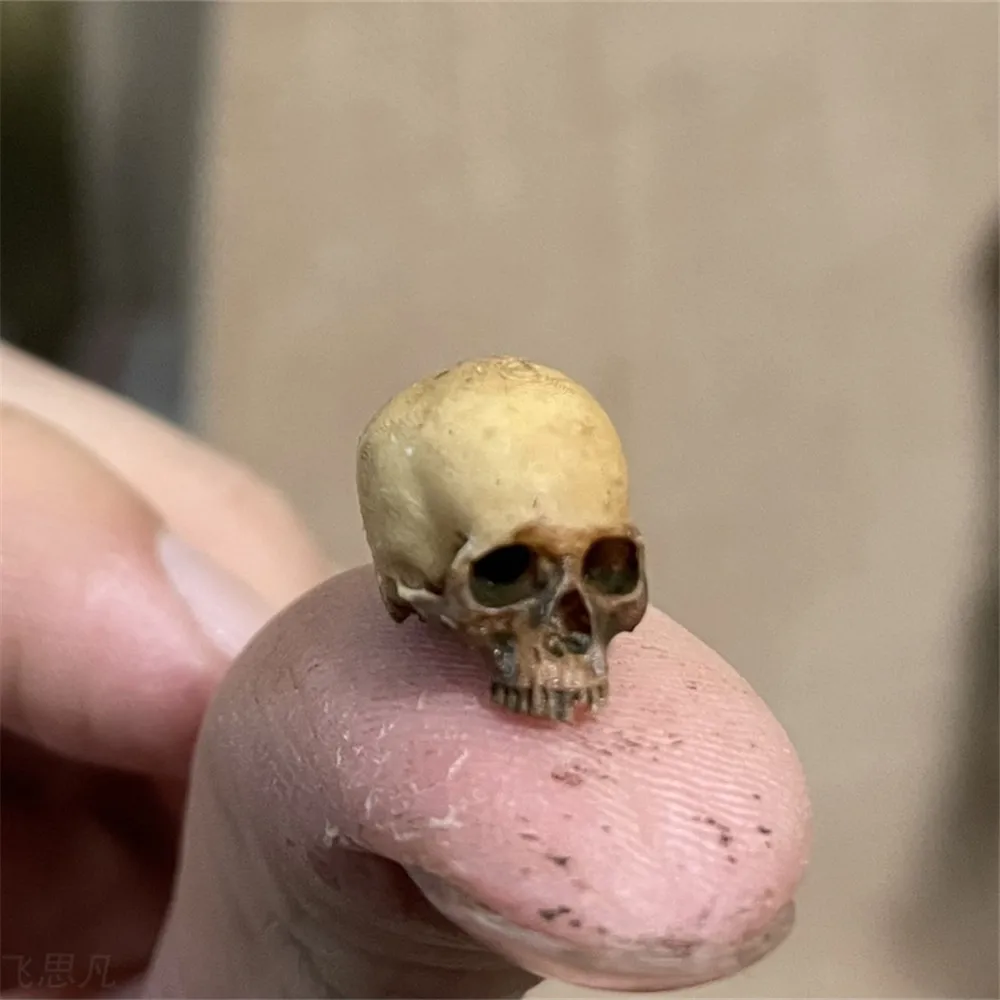 Mini Skull High Quality Miniat - Aquarium Marine Plants recensie en prijs
