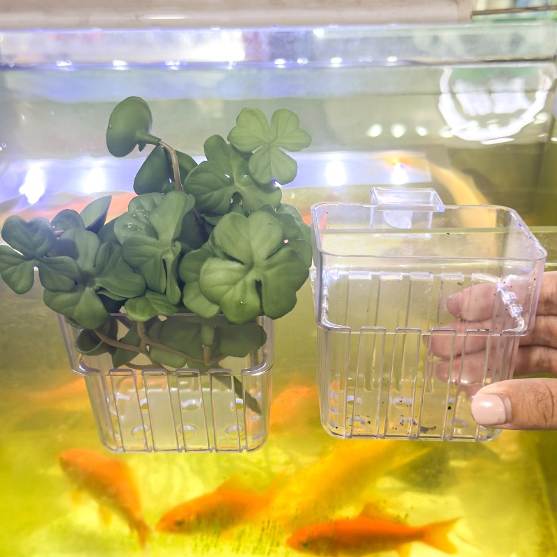 1/5pcs Aquarium Decoration Pla - Aquarium Marine Plants recensie en prijs