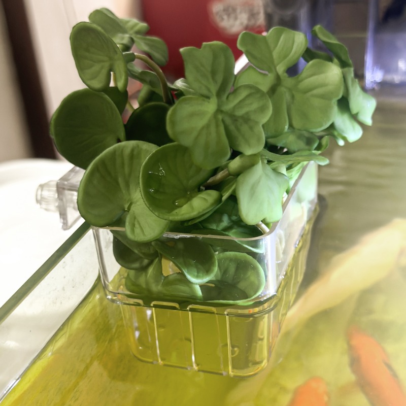 1/5pcs Aquarium Decoration Pla - Aquarium Marine Plants recensie en prijs