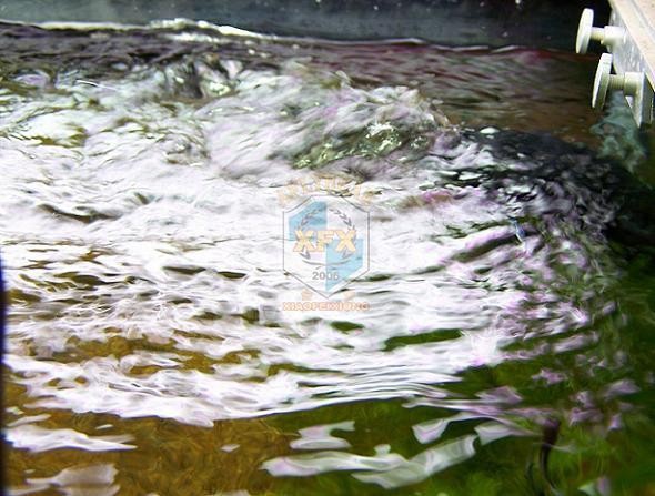 sunsun Jvp-200 newest waver ma - Aquarium Marine Salt recensie en prijs