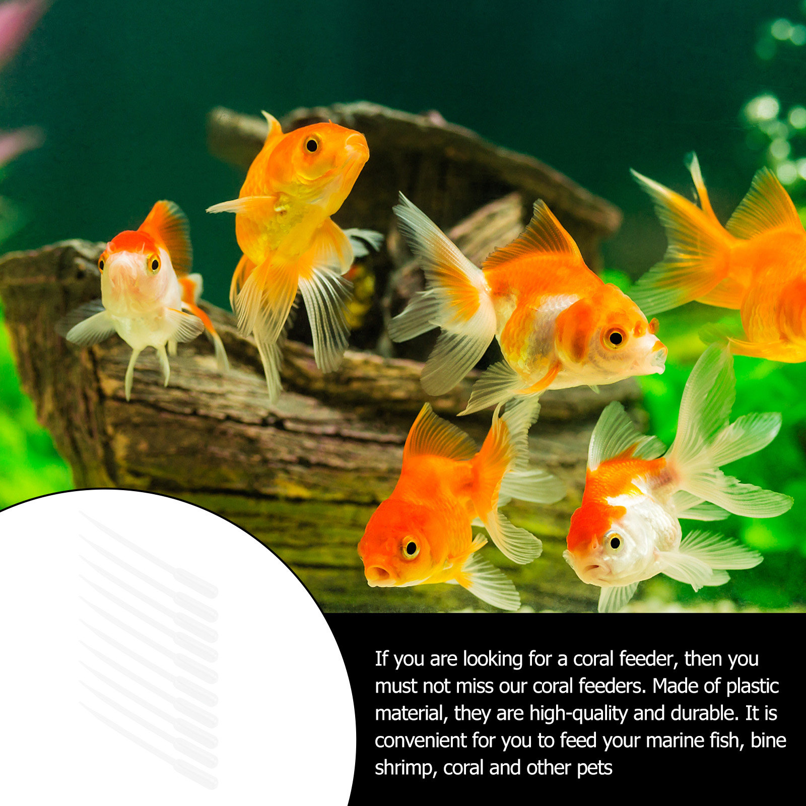 10Pcs Coral Feeders Plastic Tu - Marine Aquarium Youtube recensie en prijs